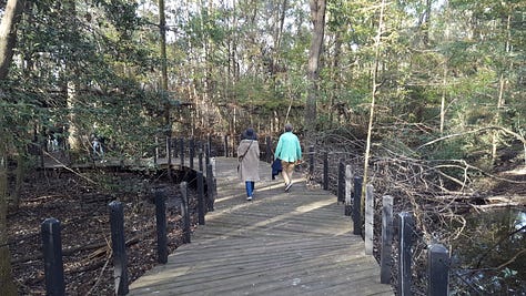 All pictures on a path, the left is a brown stone path with a person in a red jacket. The middle photo a wood path with two people walking together. Right is a wooded path with the sun shining on it.