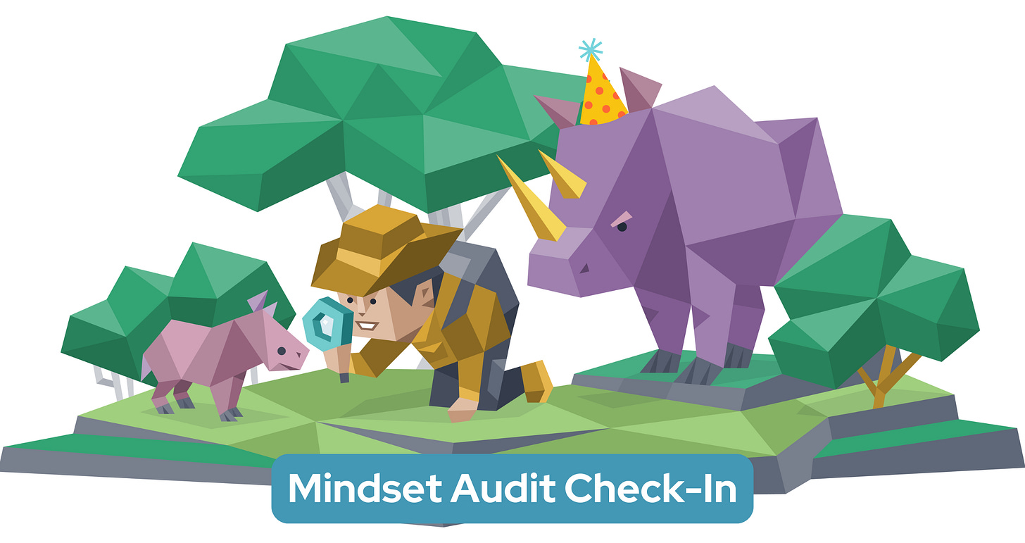 A kneeling man holds a magnifying glass up to a baby rhinoceros, while the mother rhino (wearing a birthday hat) stands behind him. Text in a blue banner reads: "Mindset Audit Check-In"