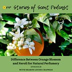 Stories of Scent