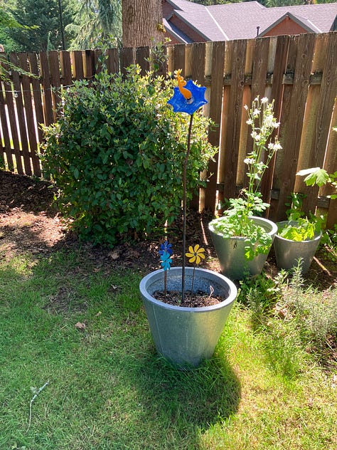 Trees: Birch, Maple, Elm, Oak, Japanese Maple, Dogwood Fruits and Vegetables: Blueberries, Strawberries, Tomatoes, Pumpkins, Peppers Plants: Rhododendron, Peony, Rosemary, Roses, Lilacs, Hosta, Hydrangea, Wisteria, Daylilies, Daffodils Flowers: Sunflowers