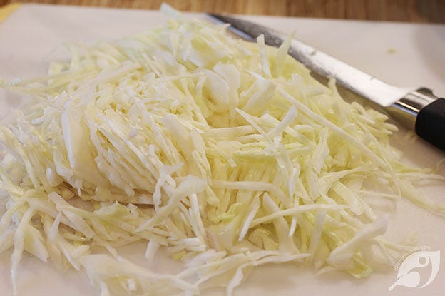making Creamy Coleslaw green cabbage cut making Creamy Coleslaw green cabbage cut
