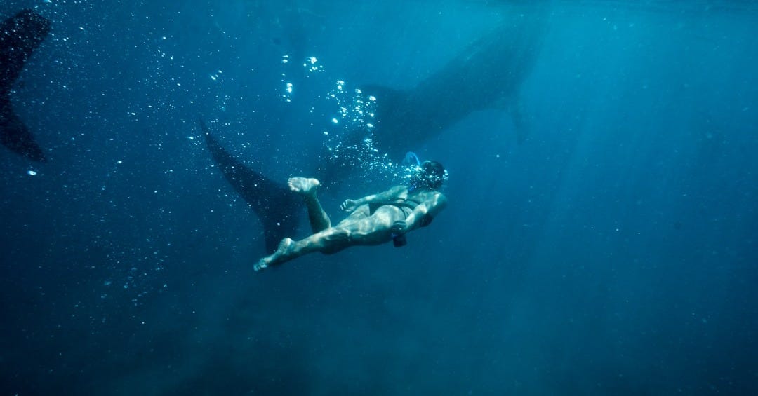 woman under water photo
