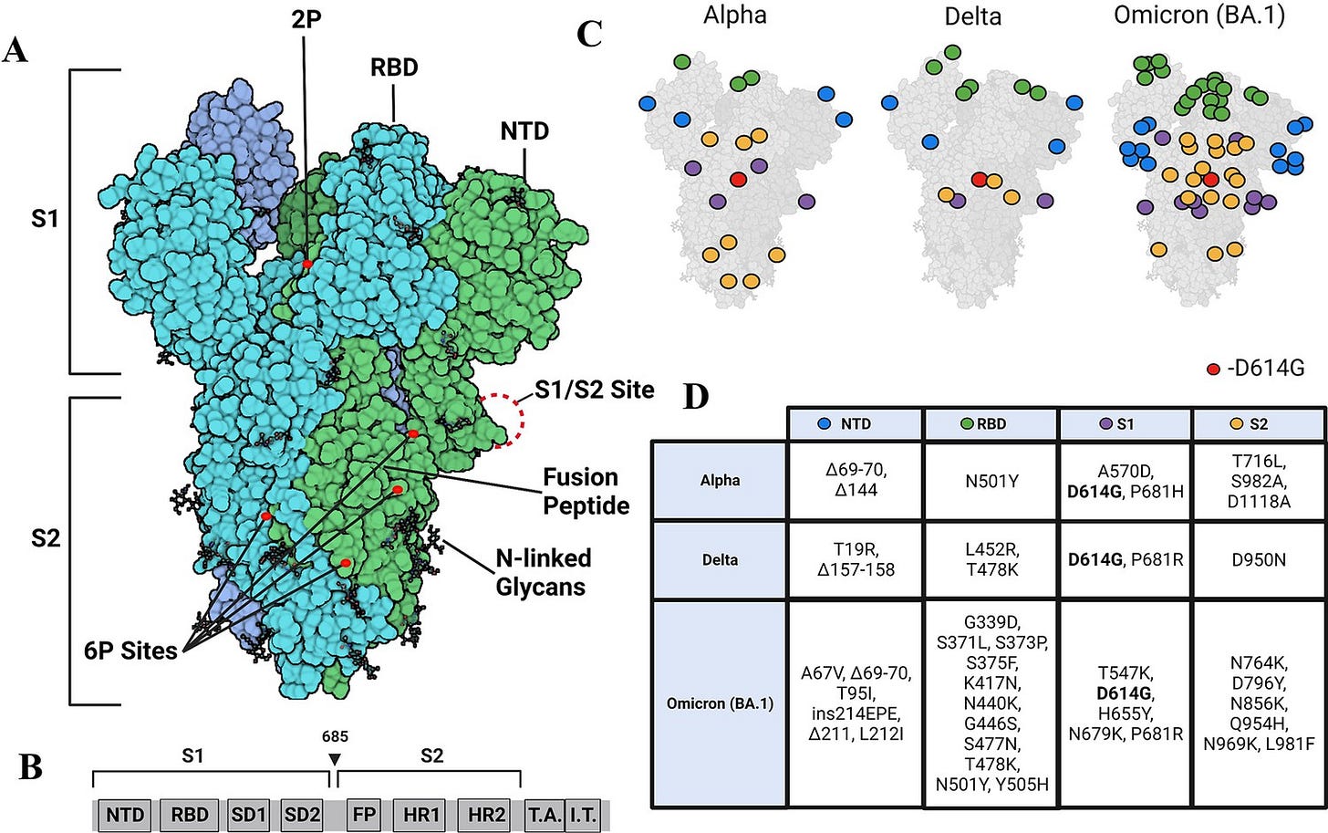 Timeline of changes in spike conformational dynamics in emergent SARS-CoV-2  variants reveal progressive stabilization of trimer stalk with altered NTD  dynamics | eLife