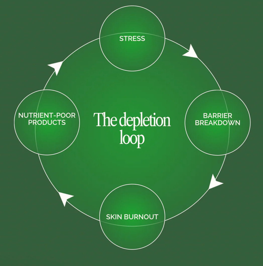 depletion loop depletion loop