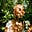 Timil Jones's avatar