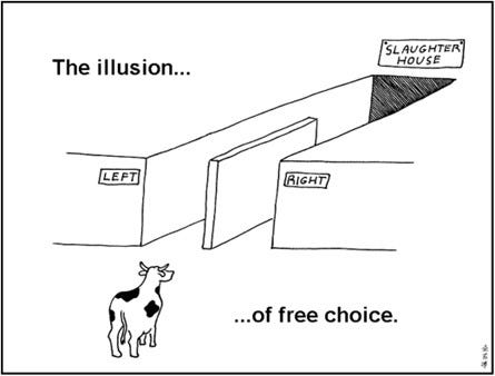 A cow looking at a cow in a maze

AI-generated content may be incorrect.