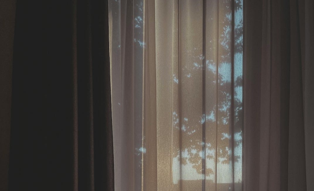 white and brown window curtain