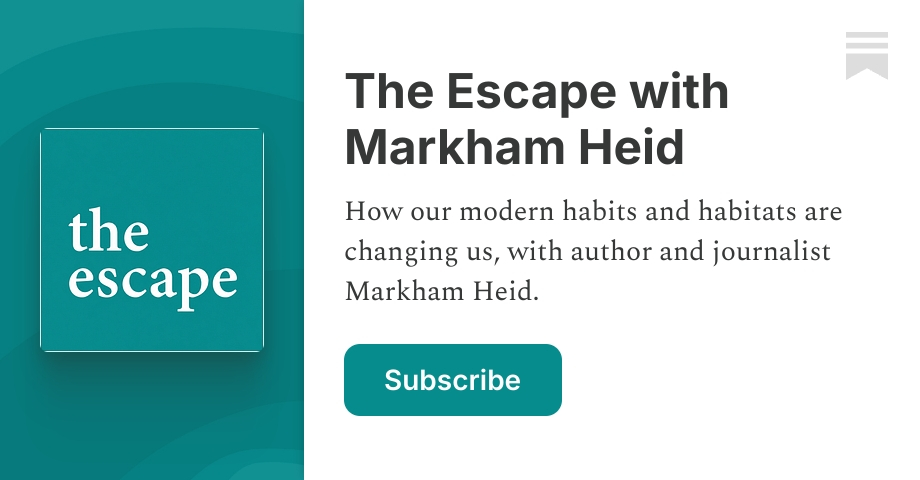 Escape Key Substack The Escape with Markham Heid | Substack