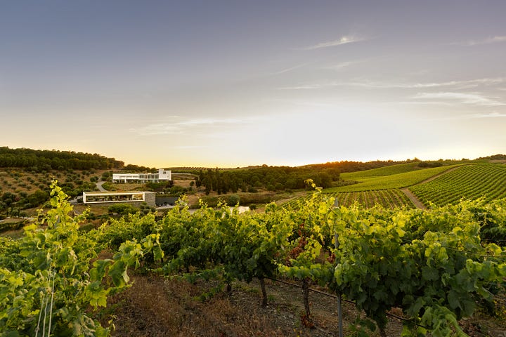photos provided by Quinta do Quetzal winery, sommeliers pouring wine to guests