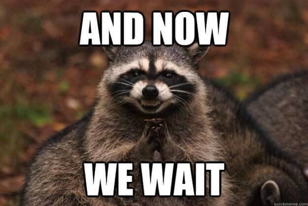 15 Waiting Memes That Even the Most Patient Person Can Relate to | Memes, Trash panda, Raccoon funny 15 Waiting Memes That Even the Most Patient Person Can Relate to | Memes, Trash panda, Raccoon funny