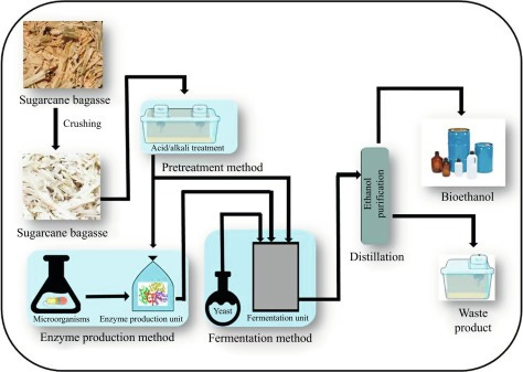 Production of Bioethanol From Sugarcane Bagasse: Current Approaches and Perspectives - ScienceDirect Production of Bioethanol From Sugarcane Bagasse: Current Approaches and Perspectives - ScienceDirect