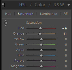 How to Fix Skin Tones in Lightroom