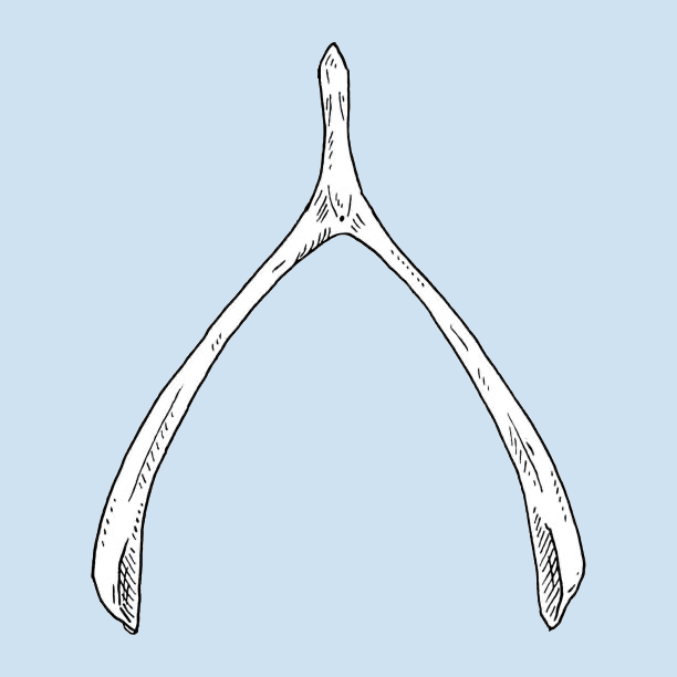 \ud835\udd53\ud835\udd63\ud835\udd60\ud835\udd5c\ud835\udd56\ud835\udd5f \ud835\udd68\ud835\udd5a\ud835\udd64\ud835\udd59\ud835\udd53\ud835\udd60\ud835\udd5f\ud835\udd56