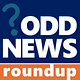 Odd News Roundup