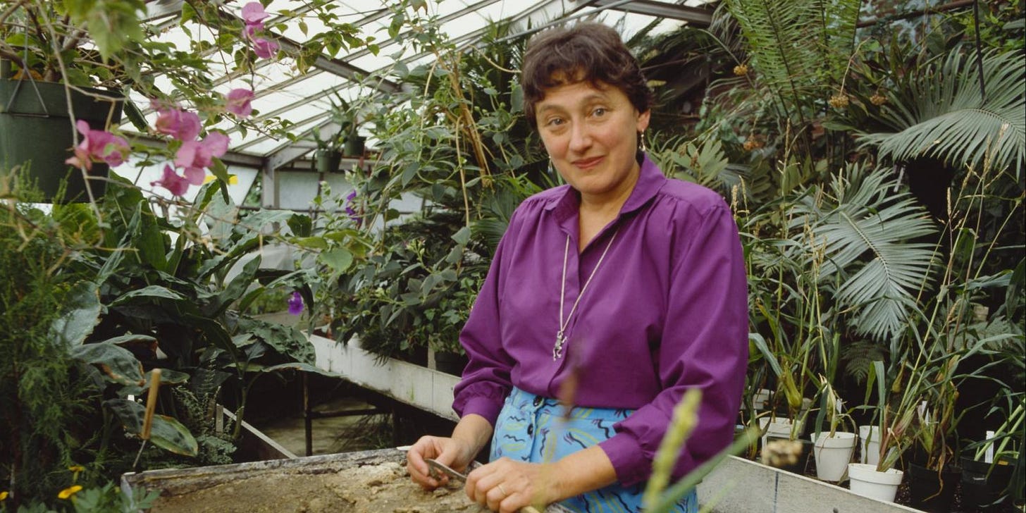 Lynn Marguils.