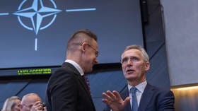 NATO state rejects €100 billion Ukraine war chest  ‘madness’