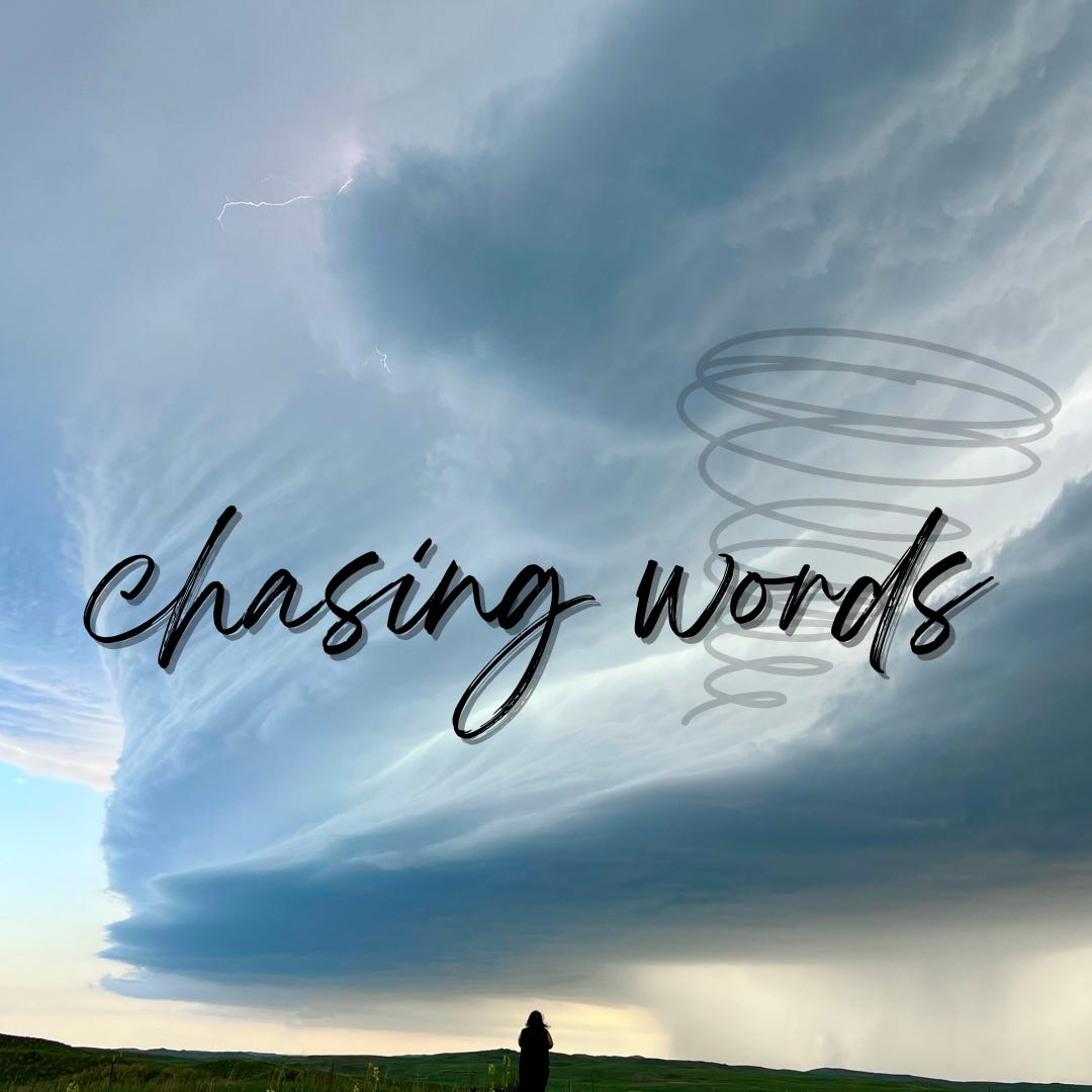 chasing words
