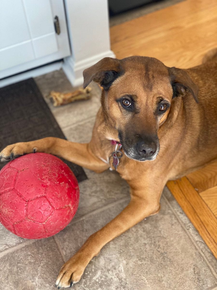 Tom King on Twitter: "Good morning! https://t.co/0zfzejP3S4" / Twitter