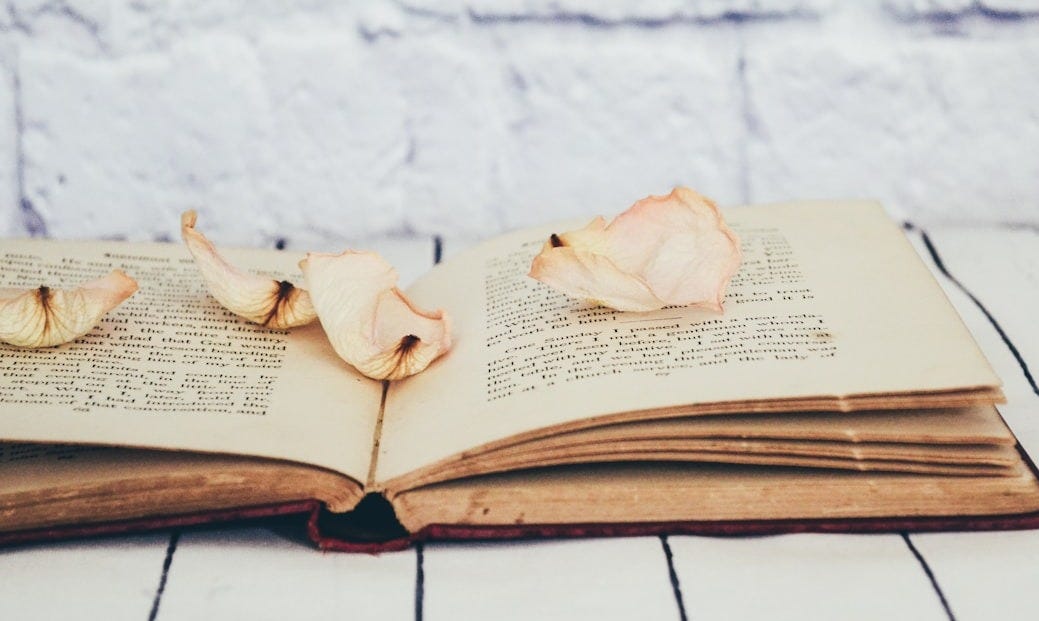 flower petals on opened book