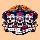 Three Sonorans: News from the Borderlands Resistance
