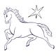 cavalo d'água