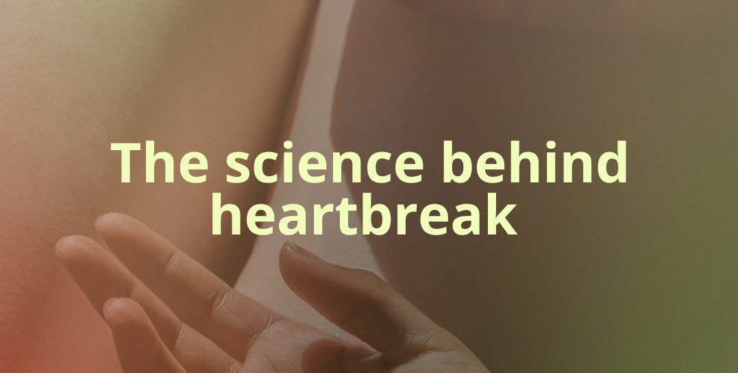 Break-ups suck... and science proves it - Gspot