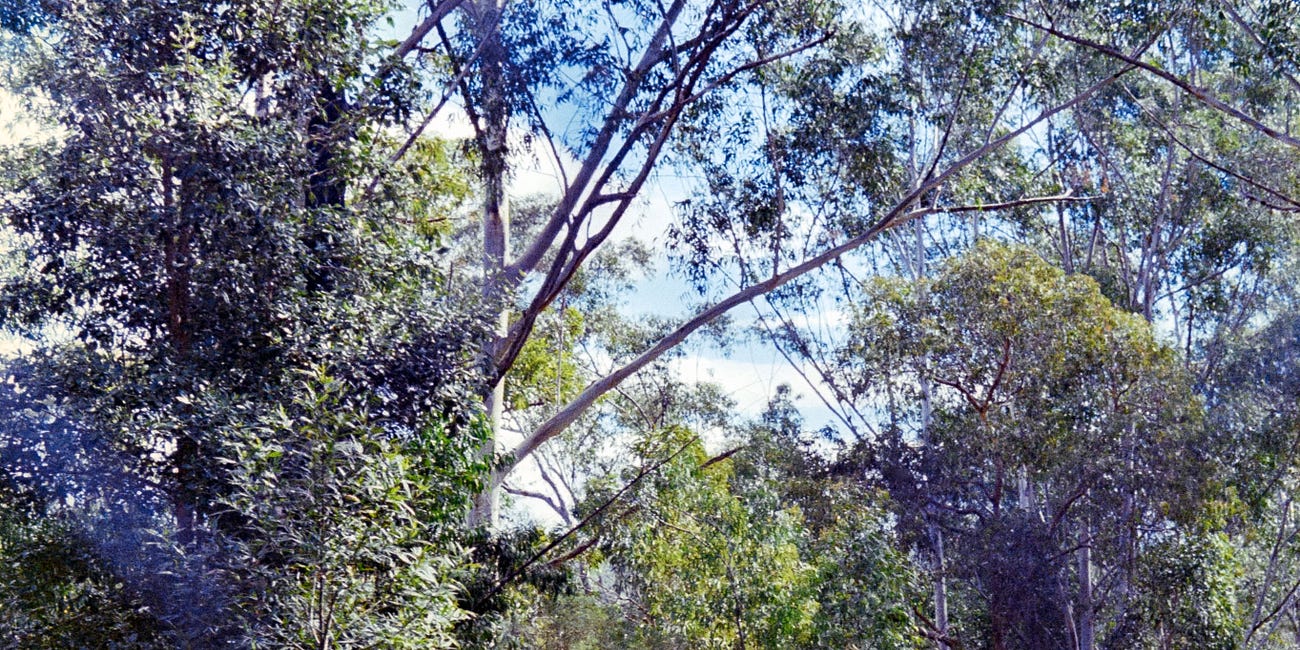 The real reason why I’m not buying any more 35mm Film Cameras...