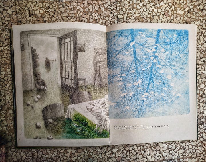 Il sasso più bello, Gilles Baum, Joanna Concejo, Topipittori (2025)