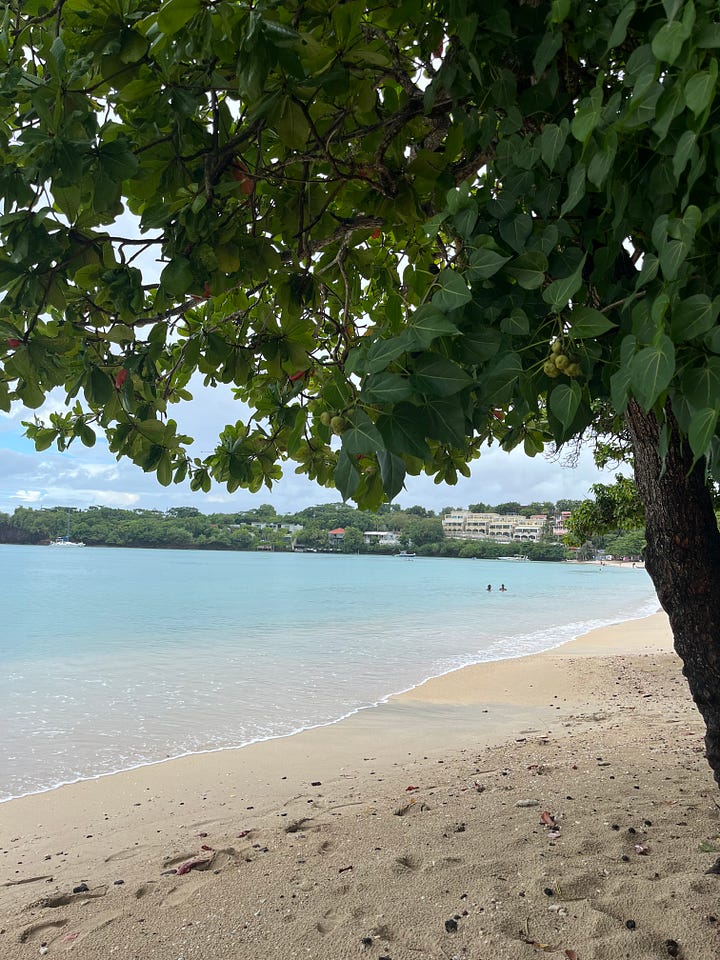 Right to left: An image overlooking the costal California sea capture in between green pine tree. A photo of a light blue sea and light brown sand captured in front of a green fruit tree