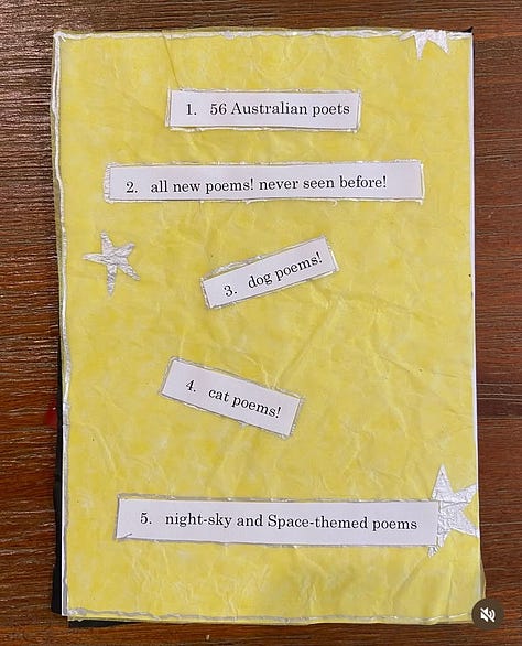 The pages of a zine made with tissue paper, strips of white paper with words typed on them and markers