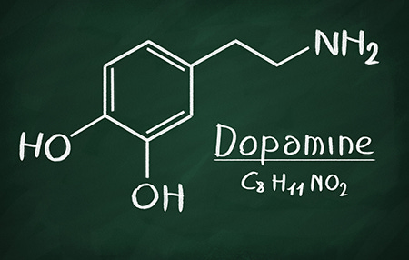 What Does Dopamine Really Do? | Biomedical Odyssey