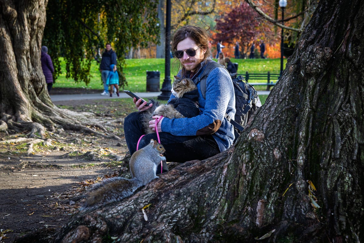 man holding a harnessed cat while a squirrel snacks boston common