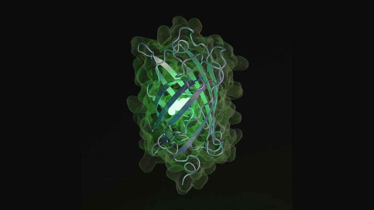 An artist&#039;s depiction of esmGFP, the new fluorescent protein created by ESM3.