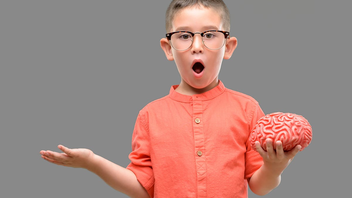 Understanding the Worst Thing You Can Do for Your Child&rsquo;s Brain