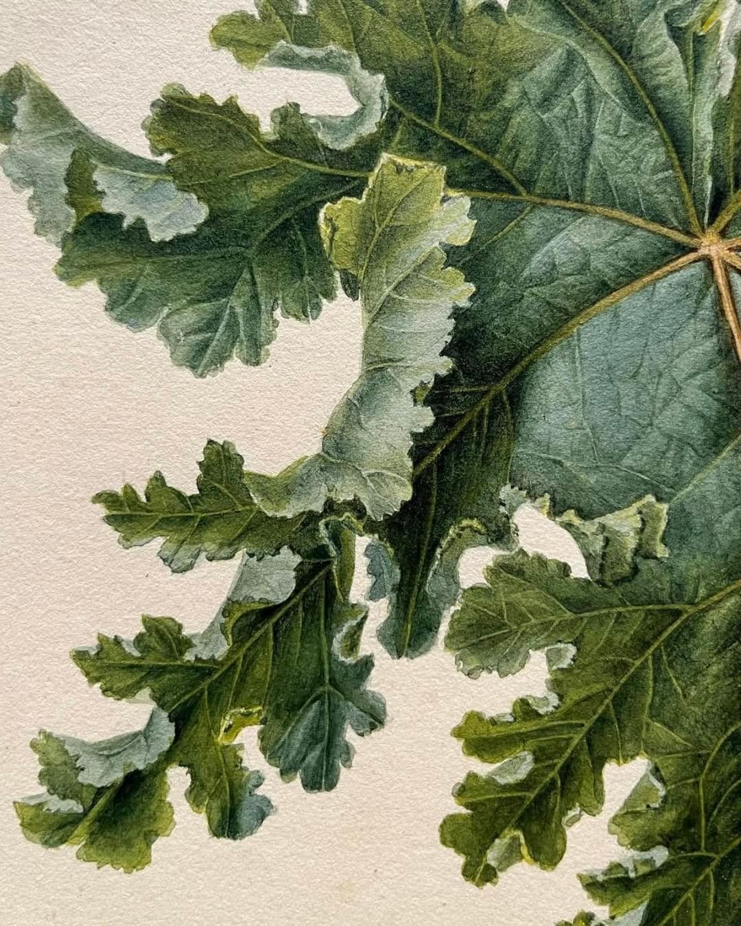 No photo description available.