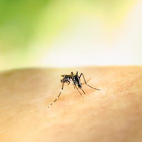 Halton Region detects first West Nile virus positive mosquito pool of 2026