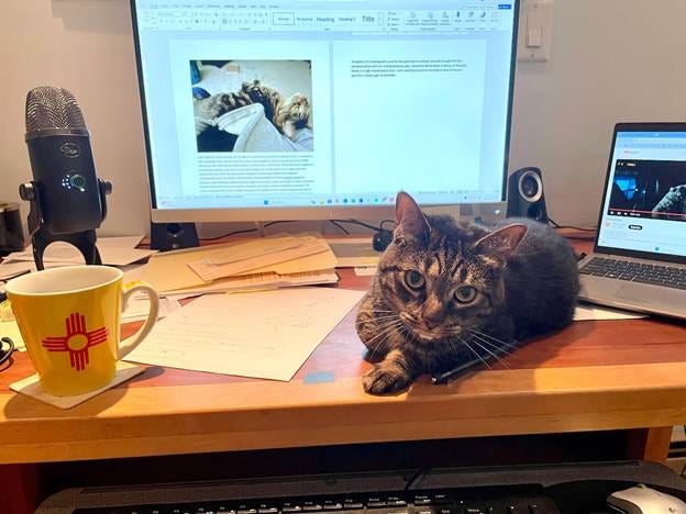 A cat lying on a desk

AI-generated content may be incorrect.