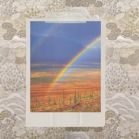 Oak & Rose Library // Your Personal Year Number