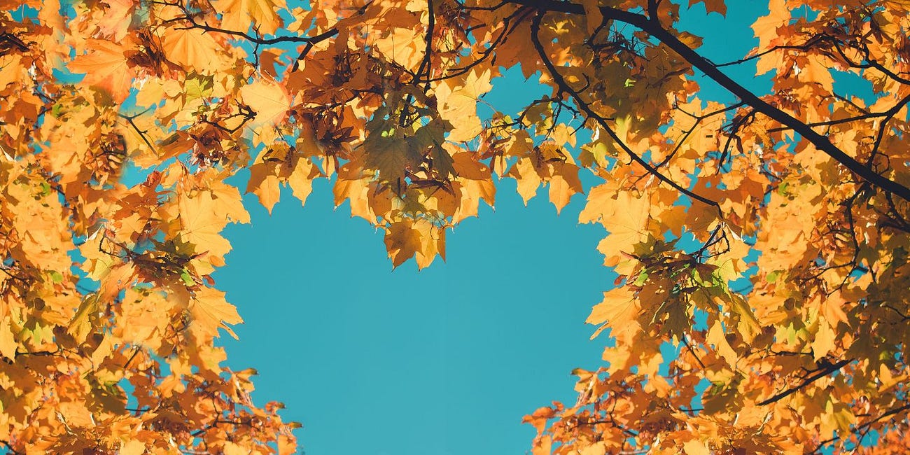 Fall in Love with Fall in 3 Recipes 