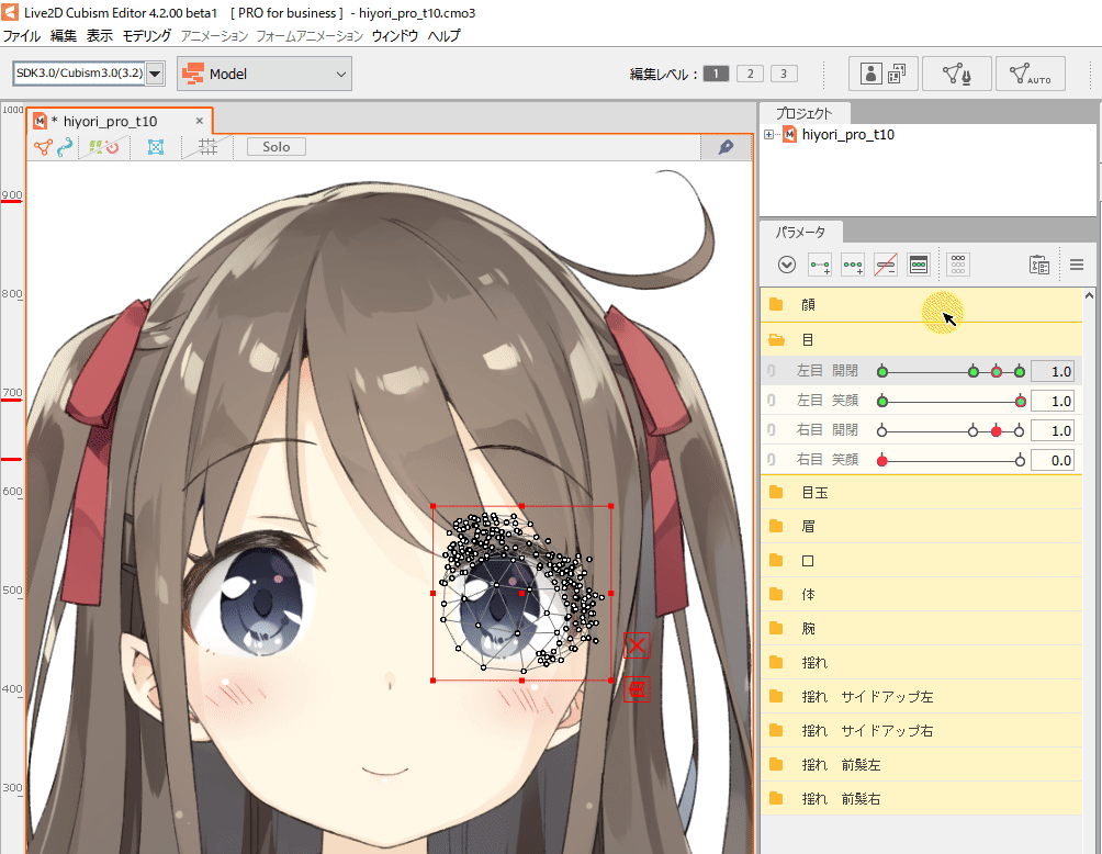 Edit Form | Editor Manual | Live2D Manuals & Tutorials