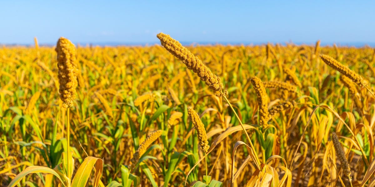 The Ground Went Cold: Soil Temperature and the Shifting Geography of Millet Farming in Neolithic East Asia