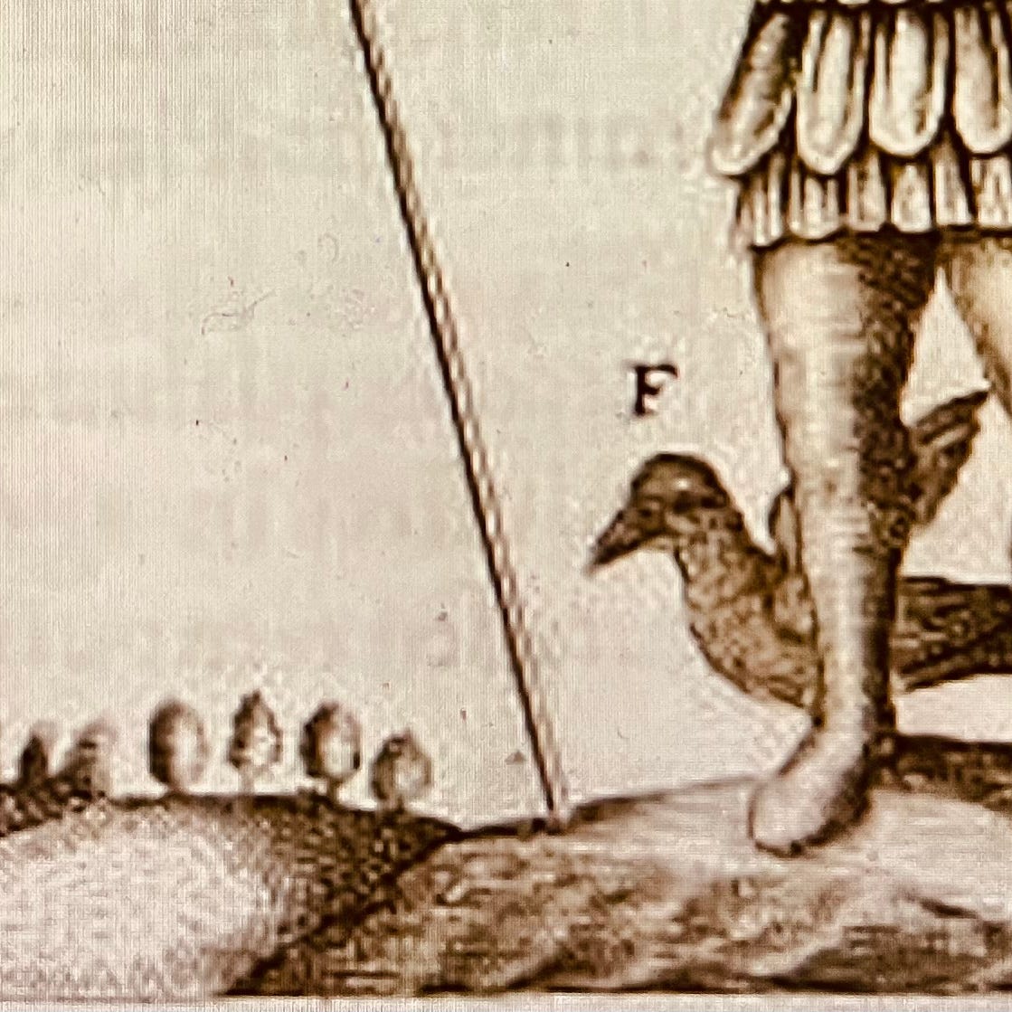 Valley Girl Persephone's Guide to Empire