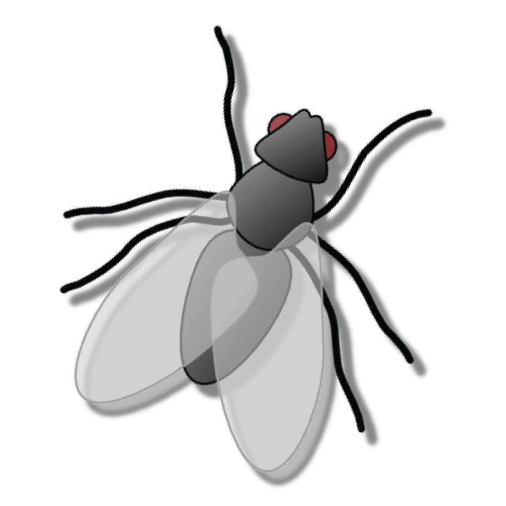 The Municipal Fly
