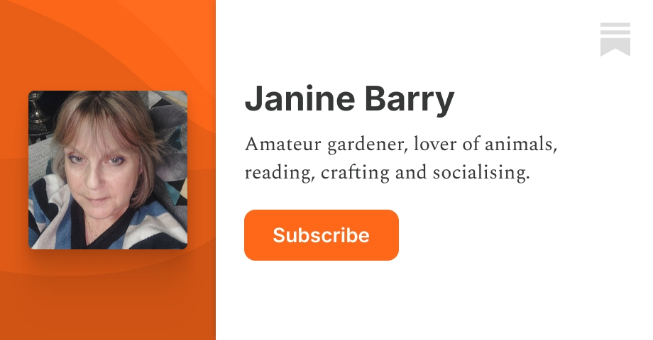 Janine Barry | Substack