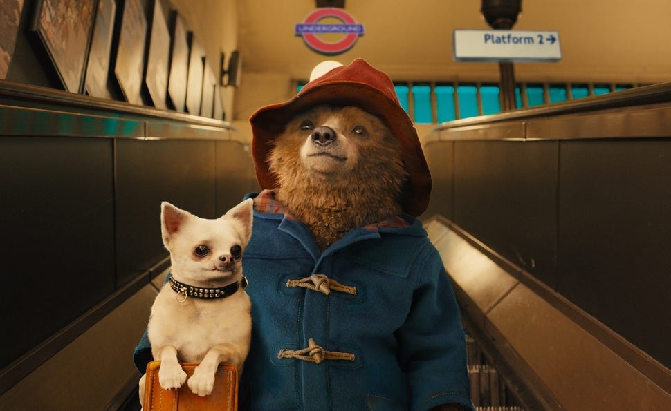 Paddington / The Dissolve Paddington / The Dissolve
