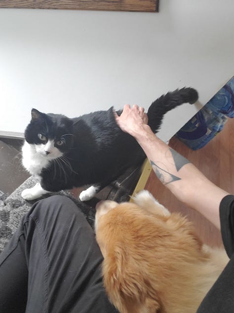 Gustave Deresse (Lee G. Dupont) alongside a dog, a cat, and a bird.