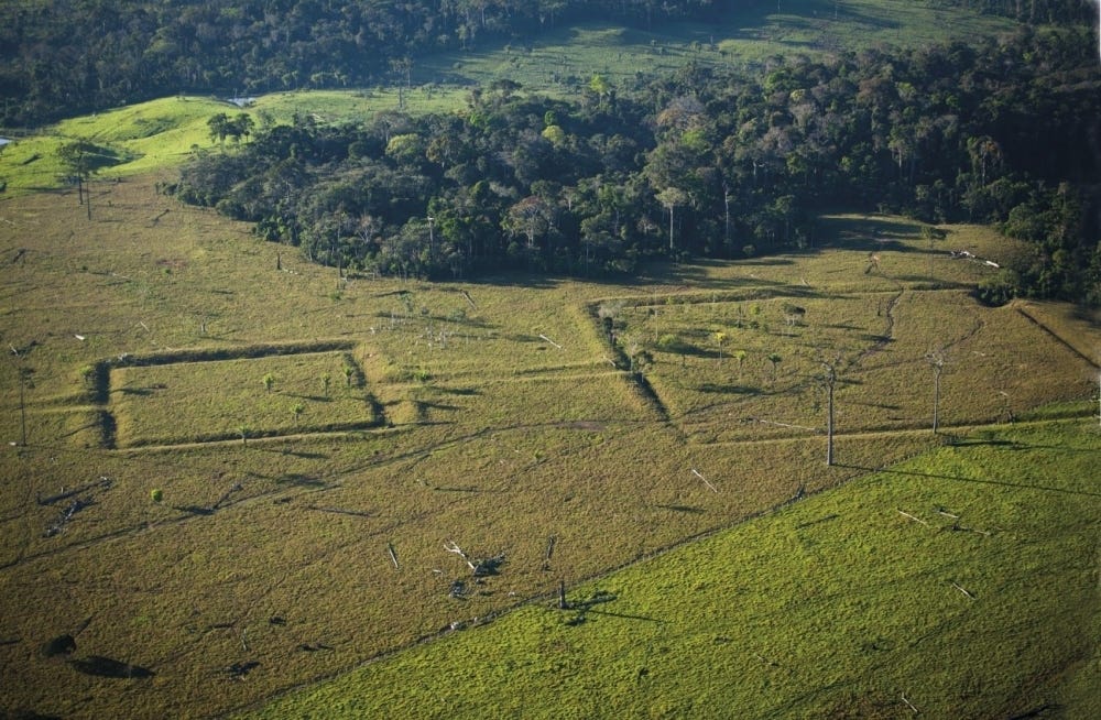 Aerial photo of a geoglyph in the Amazon rainforest in Brazil, a series of large, goemetric earthworks connected to one another