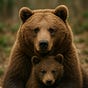 BearskySheBearsky's avatar