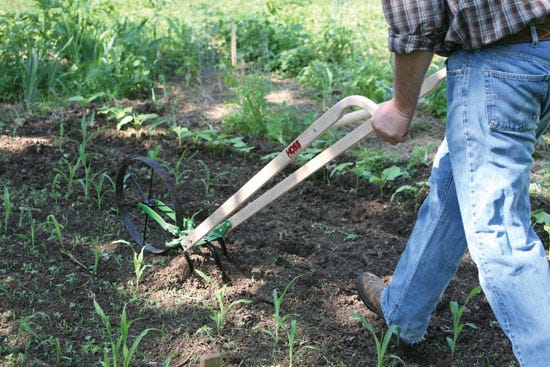 Row Crops by Hand – Mother Earth Gardener Row Crops by Hand – Mother Earth Gardener