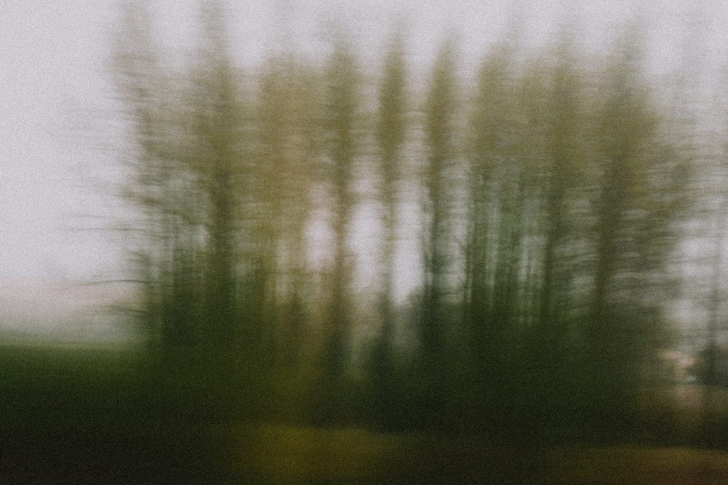 A heavily motion-blurred image of trees against a gray sky, creating an abstract, dreamlike landscape.